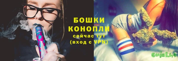 твердый Магас