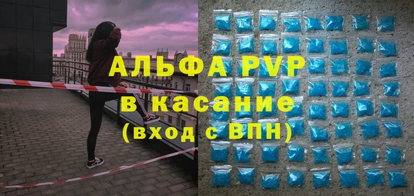 твердый Магас