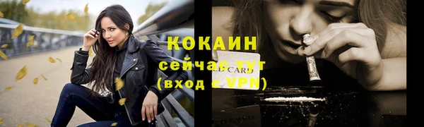 твердый Магас