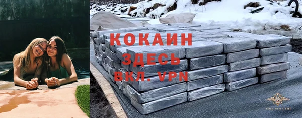 твердый Магас