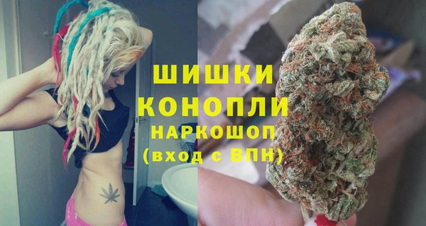 твердый Магас