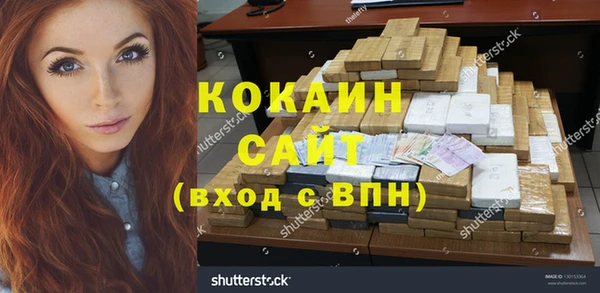 твердый Магас