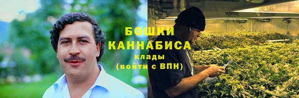 твердый Магас