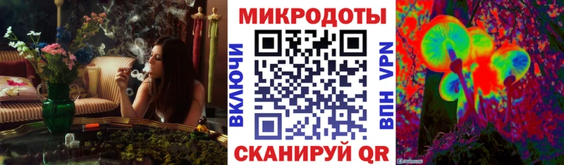 купить  цена  Ясногорск  Галлюциногенные грибы GOLDEN TEACHER 